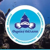ΘΗΡΑΪΚΗ ΘΑΛΑΣΣΑ ΓΙΑ ΤΟ ΥΔΑΤΙΝΟ ΠΑΡΚΟ ΤΗΣ ΣΑΝΤΟΡΙΝΗΣ