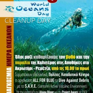 CLEANUPDAY poster