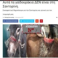 ΤΑ ΨΕMMATA ΓΙΑ ΤΑ ΓΑΪΔΟΥΡΑΚΙΑ ΤΗΣ ΣΑΝΤΟΡΙΝΗΣ