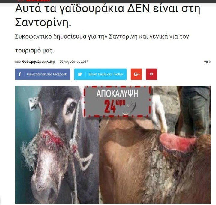 ΤΑ ΨΕMMATA ΓΙΑ ΤΑ ΓΑΪΔΟΥΡΑΚΙΑ ΤΗΣ ΣΑΝΤΟΡΙΝΗΣ