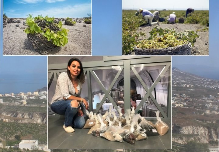 ΓΕΩΠΟΝΙΚΟ ΕΡΕΥΝΑ