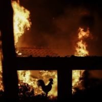 ΕΚΚΛΗΣΕΙΣ ΓΙΑ ΒΟΗΘΕΙΑ ΣΤΟΥΣ ΠΥΡΟΠΛΗΚΤΟΥΣ ΤΗΣ ΑΤΤΙΚΗΣ