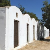 «ΑΠΟΡΙΕΣ ΘΕΡΙΝΗΣ ΝΥΚΤΟΣ»
