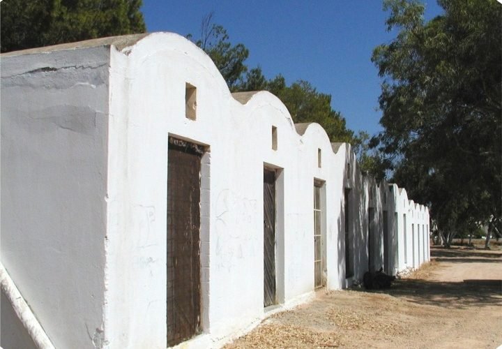 ΣΤΑΥΛΟΙ ΜΕΤΑΣΕΙΣΜΙΚΟΙ