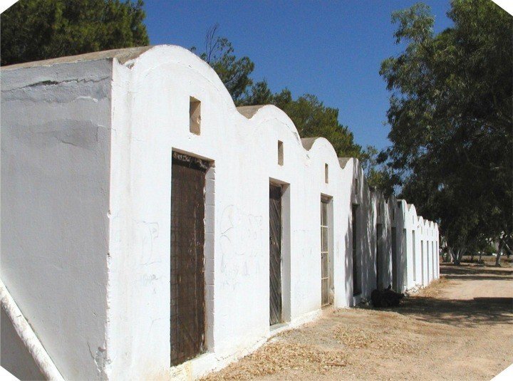 «ΑΠΟΡΙΕΣ ΘΕΡΙΝΗΣ ΝΥΚΤΟΣ»