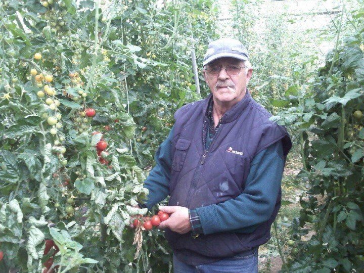 ΜΑΣ ΕΦΥΓΕ ΚΑΙ Ο ΕΜΜΑΝΟΥΗΛ ΠΕΤΙΝΗΣ