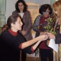 ΣΙΡΟΠΙΑ ΦΥΣΙΚΑ & ΑΠΛΑ ΒΟΤΑΝΑ ΓΙΑ ΤΑ ΚΡΥΟΛΟΓΗΜΑΤΑ ΤΩΝ ΗΜΕΡΩΝ