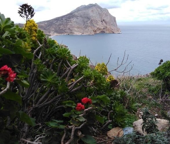 ΑΝΑΦΗ ΑΝΤΩΝΙΑ