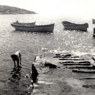 ΝΤΙΚ ΣΙΚΙΝΟΣ ΣΚΑΜΠΑΒΙΡΙΑΣ