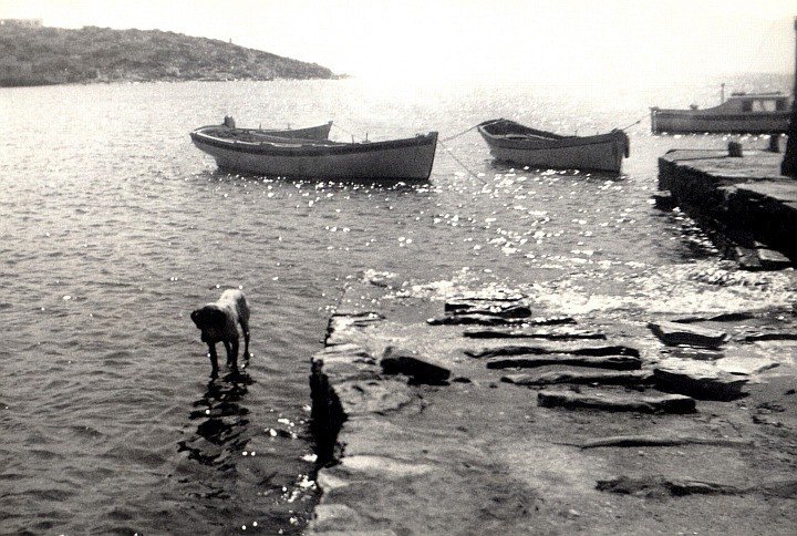 ΝΤΙΚ ΣΙΚΙΝΟΣ ΣΚΑΜΠΑΒΙΡΙΑΣ