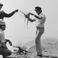 OIA ΠΟΡΤΡΕΤΟ ΕΝΟΣ ΧΩΡΙΟΥ (1977-79) ΤΗΣ PAMELA BROWNΕ