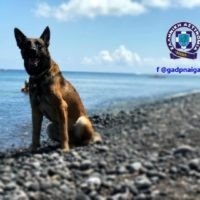 Ο ΡΟΥΝΤΟΛΦ ΑΠΟΚΑΛΥΨΕ “ΣΟΔΕΙΑ” ΧΑΣΙΣ