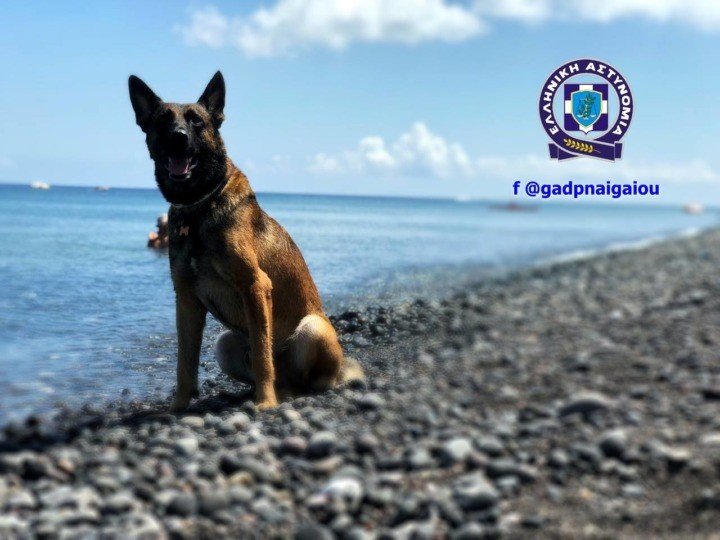Η ΙΣΤΟΡΙΑ ΤΟΥ ΡΟΥΝΤΟΛΦ ΤΟΥ …ΧΑΣΙΣΟΚΥΝΗΓΟΥ