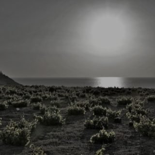 αμπελωνασ ηλιοπουλος