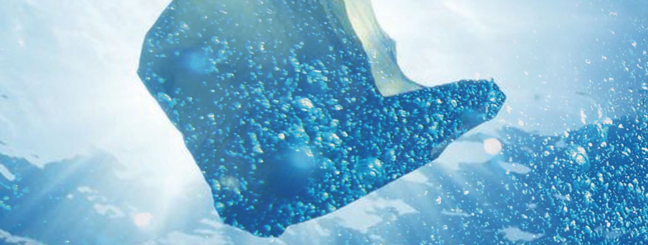 Pollution Prevention 31 07 2019