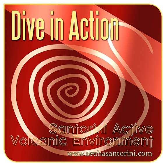 Συλλογή δειγμάτων ξενικών ειδών από την Dive in Action