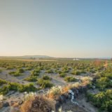 448A5729 9C87 40E4 8123 8F972BF021F6