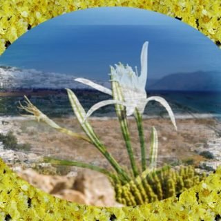 ΠΑΓΚΡΑΤΙΟΣ