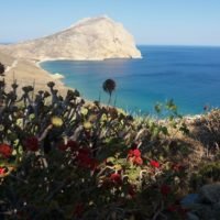 ΕΔΩ ΑΝΑΦΗ, ΕΔΩ ΠΑΡΑΔΕΙΣΟΣ 4