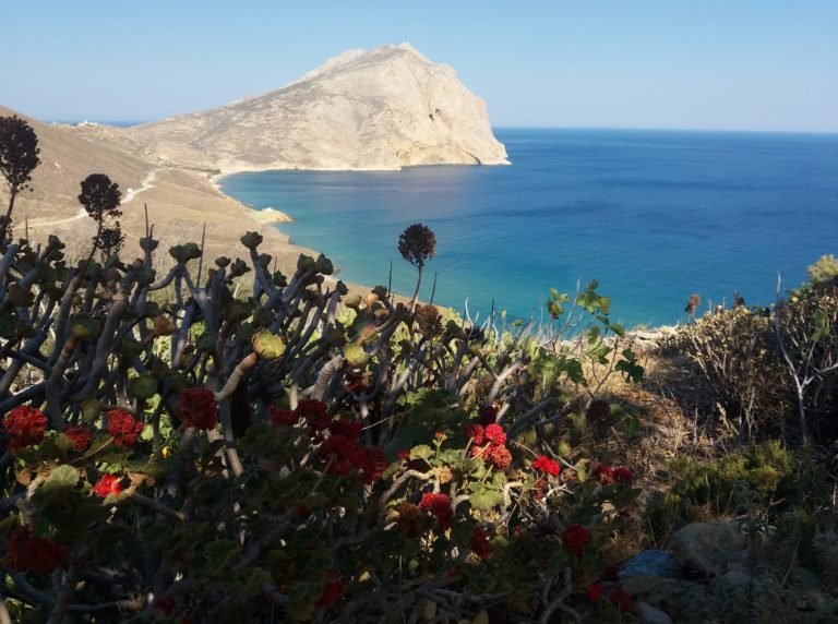 ΕΔΩ ΑΝΑΦΗ, ΕΔΩ ΠΑΡΑΔΕΙΣΟΣ 4