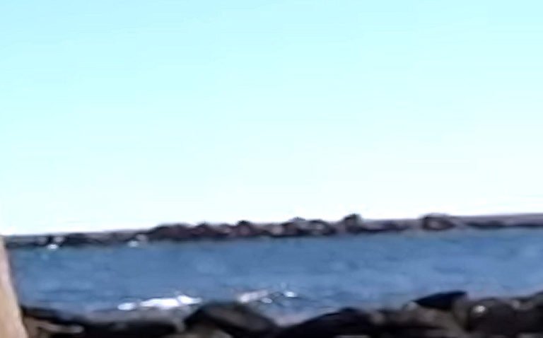 ΟΧΙ ΑΠΛΑ ΝΕΟ ΛΙΜΑΝΙ. ΛΙΜΑΝΙ ΣΤΟ ΜΟΝΟΛΙΘΟ ΚΑΙ ΓΡΗΓΟΡΑ