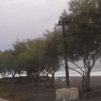 ΠΡΟΣΑΡΑΞΗ ΠΛΩΤΟΥ ΓΕΡΑΝΟΥ ΣΤΗΝ ΠΕΡΙΣΣΑ