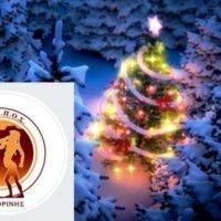 ΑΦΗ ΤΟΥ ΧΡΙΣΤΟΥΓΕΝΝΙΑΤΙΚΟΥ ΔΕΝΔΡΟΥ ΑΠΟ ΤΟΝ ΔΑΠΠΟΣ