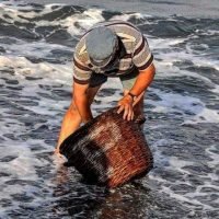 Η ΚΑΝΑΒΑ ΡΟΥΣΣΟΣ ΑΨΗΦΑ ΤΙΣ ΔΥΣΚΟΛΙΕΣ ΤΟΥ ΚΟΡΩΝΟΪΟΥ