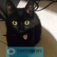 ΧΡΟΝΙΑ ΠΟΛΛΑ ΑΠΟ SANTONEWS & ΛΟΛΙΤΑ
