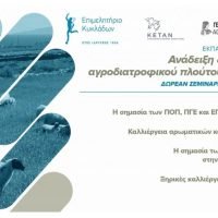 ΔΙΑΔΙΚΤΥΑΚΟ ΣΕΜΙΝΑΡΙΟ ΤΟΥ ΕΠΙΜΕΛΗΤΗΡΙΟΥ