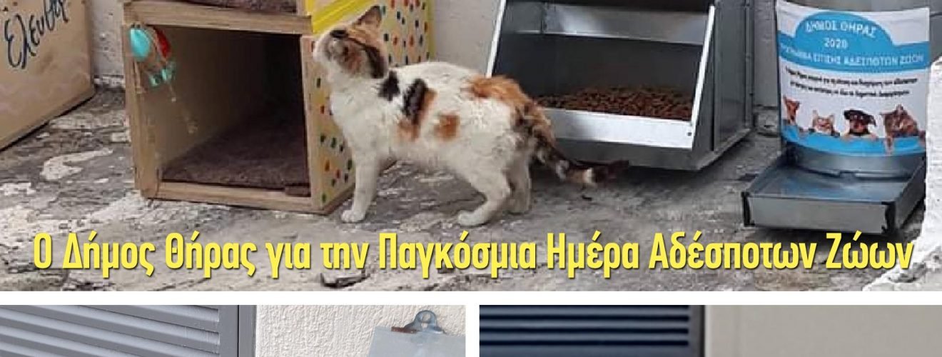 04 04 2021 Animal Day