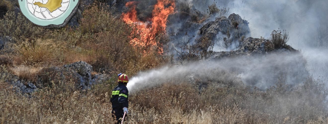 25 06 2021 pyrkagies (1)