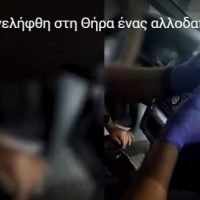 Συνελήφθη στη Θήρα ένας αλλοδαπός για διακίνηση ναρκωτικών ουσιών