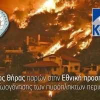 Ο Δήμος Θήρας παρών στην Εθνική προσπάθεια   αναζωογόνησης των πυρόπληκτων περιοχών  