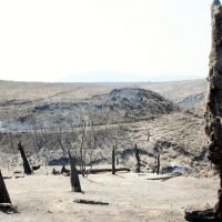 ΠΡΩΤΟΒΟΥΛΙΑ Μ. ΟΡΦΑΝΟΥ ΓΙΑ ΕΝΙΣΧΥΣΗ ΠΥΡΟΠΛΗΚΤΩΝ