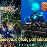 ΝΕΑ ΕΝΔΙΑΦΕΡΟΥΣΑ ΔΡΑΣΗ ΣΤΟ ΧΡΙΣΤΟΥΓΕΝΝΙΑΤΙΚΟ