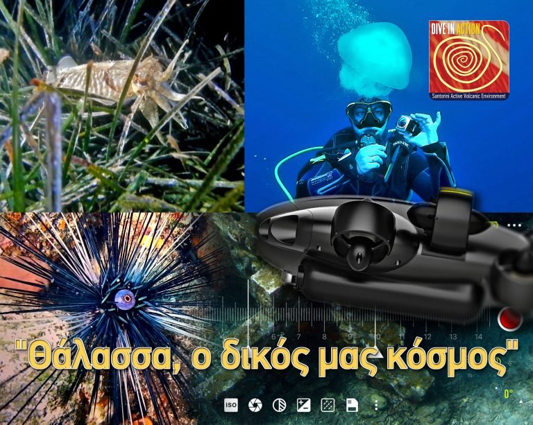 ΝΕΑ ΕΝΔΙΑΦΕΡΟΥΣΑ ΔΡΑΣΗ ΣΤΟ ΧΡΙΣΤΟΥΓΕΝΝΙΑΤΙΚΟ
