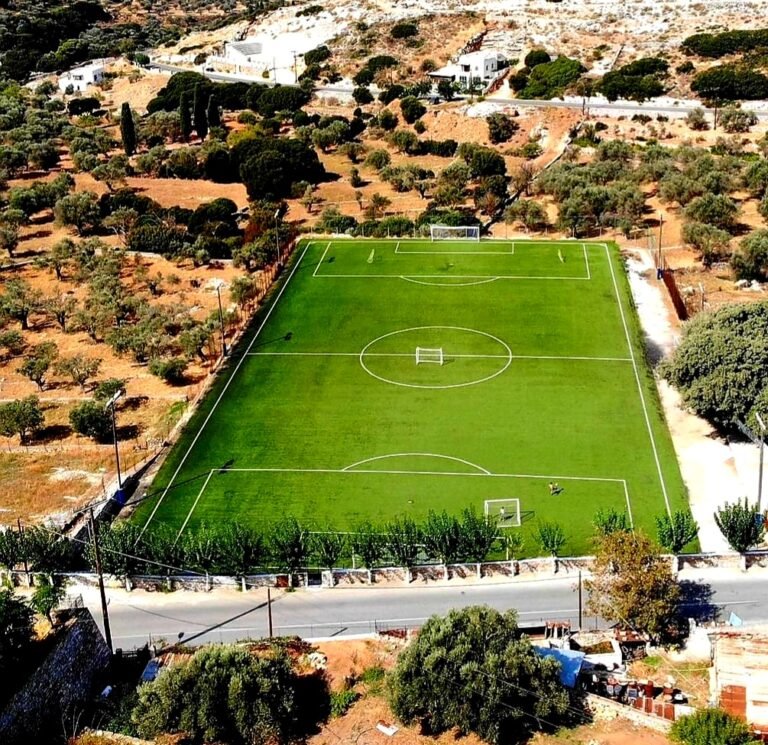 ΦΙΛΩΤΙ ΚΑΙ ΚΟΥΦΟΝΗΣΙΑ ΑΠΕΚΤΗΣΑΝ ΦΩΤΕΙΝΑ ΓΗΠΕΔΑ