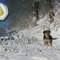 Ενημέρωση για την προστασία οικόσιτων ζωών από την κακοκαιρία
