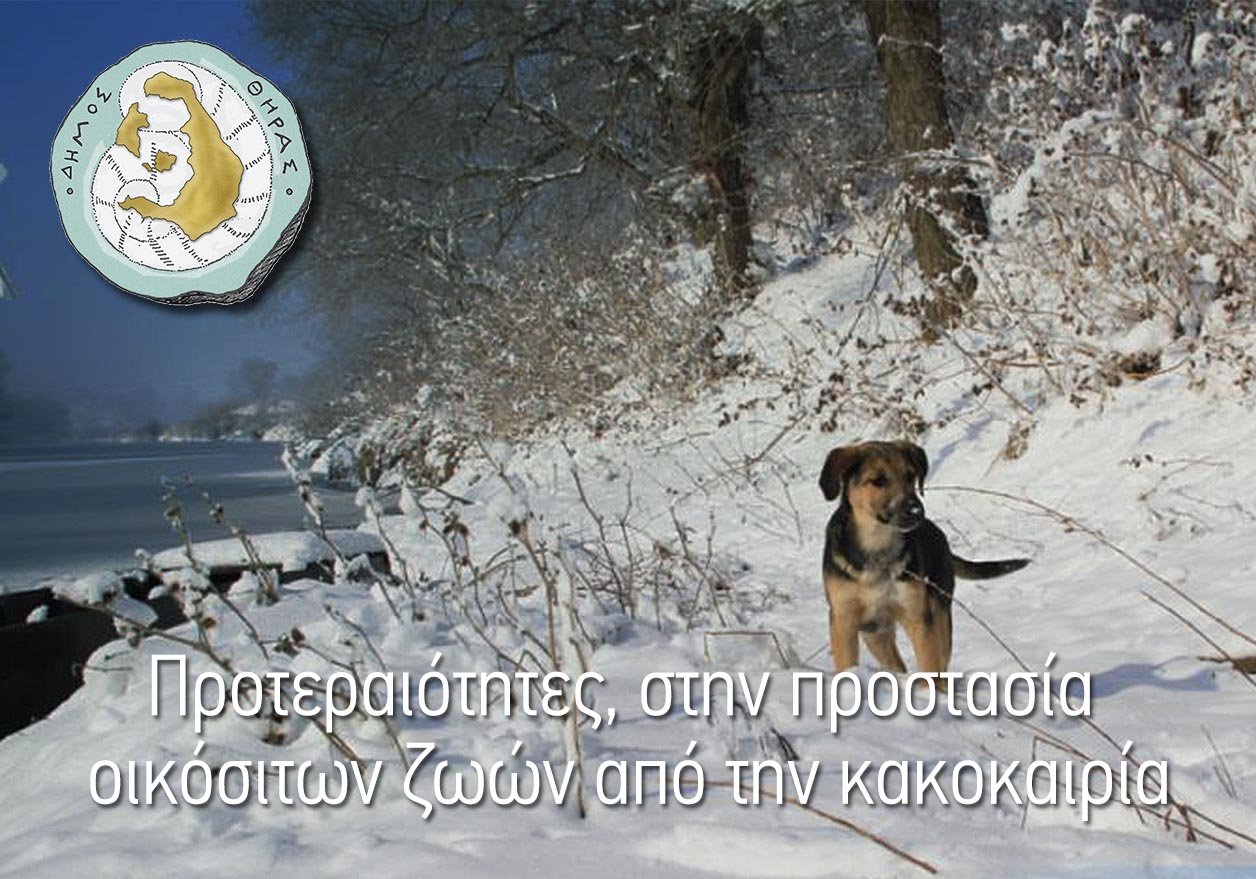 Ενημέρωση για την προστασία οικόσιτων ζωών από την κακοκαιρία