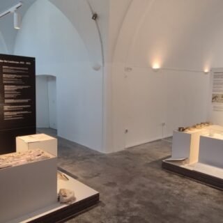 294459024 5925237500837522 52046857035565988 n