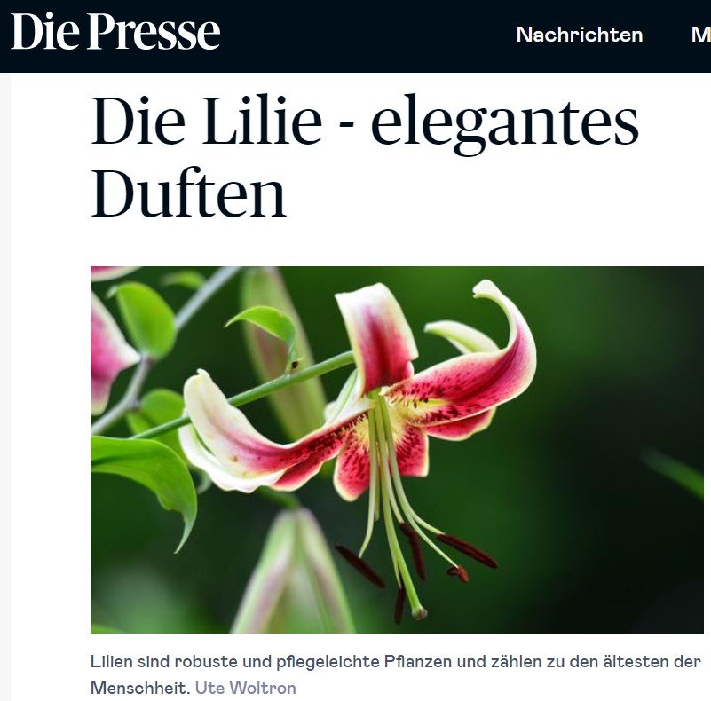 Ο ΚΡΙΝΟΣ ΚΑΙ ΟΙ ΤΟΙΧΟΓΡΑΦΙΕΣ ΤΟΥ ΑΚΡΩΤΗΡΙΟΥ