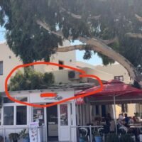 ΜΕΓΑΛΟ ΚΛΑΔΙ ΑΠΟΚΟΛΛΗΘΗΚΕ ΚΑΙ ΕΠΕΣΕ ΣΕ ΠΕΡΓΟΛΑ ΚΑΤΑΣΤΗΜΑΤΟΣ ΣΤΟ ΕΜΠΟΡΕΙΟ