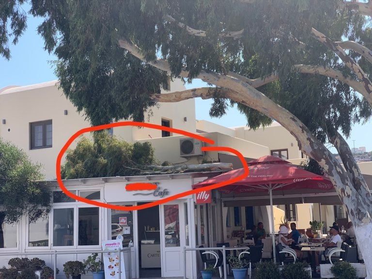 ΜΕΓΑΛΟ ΚΛΑΔΙ ΑΠΟΚΟΛΛΗΘΗΚΕ ΚΑΙ ΕΠΕΣΕ ΣΕ ΠΕΡΓΟΛΑ ΚΑΤΑΣΤΗΜΑΤΟΣ ΣΤΟ ΕΜΠΟΡΕΙΟ