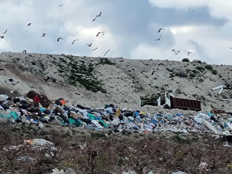 ΧΩΡΟΘΕΤΕΙΤΑΙ Η ΕΝΔΙΑΜΕΣΗ ΔΙΑΧΕΙΡΙΣΗ ΑΠΟΡΡΙΜΑΤΩΝ ΘΗΡΑΣ