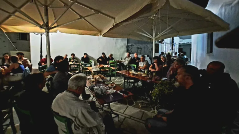 Δραστηριότητα της Μ. Χανιώτη