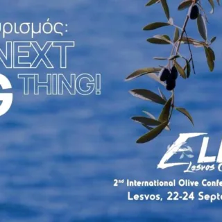Συνέδριο Ελαιοτουρισμού στη Λέσβο
