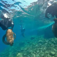 “Η υποβάθμιση του Περιβάλλοντος ισούται   με υποτίμηση των ανθρώπινων δυνάμεων” 