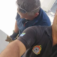 ΜΙΑ ΟΜΟΡΦΗ ΙΣΤΟΡΙΑ ΑΝΘΡΩΠΙΑΣ ΜΕ ΜΙΑ ΜΟΛΙΣ ΦΡΑΣΗ