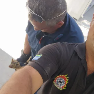 ΠΥΡΟΣΒΕΣΤΙΚΗ ΓΑΤΑΚΙ